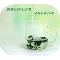 供應(yīng)批發(fā)絞股藍 花草茶葉 七葉甘味絞股藍嫩葉茶湖南綏寧廠家貨源