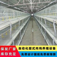 肉雞養(yǎng)殖全套設備雞籠自動上料自動清糞橫向加溫爐降溫風機包安裝