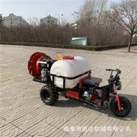 折疊桿玉米地滅蟲打藥車 柴油液壓三輪打藥機(jī) 駕乘式柴油噴霧機(jī)