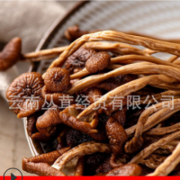 茶樹(shù)菇干貨散裝金針菇燉湯煲湯食用菌展銷會(huì)地?cái)偱l(fā)