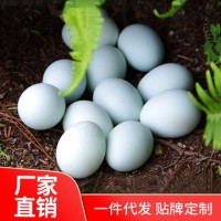 我老家土雞蛋50枚 雞場(chǎng)直銷農(nóng)家散養(yǎng)綠殼土雞蛋批發(fā)一件代發(fā)