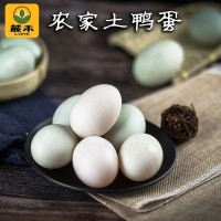 【30枚鴨蛋】大別山農家新鮮山間放養(yǎng)水麻鴨青殼土鴨蛋現(xiàn)撿現(xiàn)發(fā)