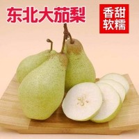 東北茄梨大頭梨 新鮮水果梨當季梨軟香現(xiàn)摘大果青梨子整箱梨子