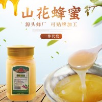 現(xiàn)貨供應土蜂蜜結(jié)晶山花蜂蜜500g瓶裝土特產(chǎn)洋槐蜂蜜一件代發(fā)