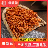 潤(rùn)曦堂 廠(chǎng)家批發(fā)定制貼牌干貨煲湯材料 孢子頭干蟲(chóng)草花