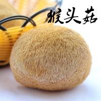 廠家直供猴頭菇提取物猴頭菇多糖提取物30% 質(zhì)量達標(biāo)品質(zhì)高提取物