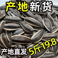 內蒙古生瓜子361葵花籽601新貨新鮮散裝批發363原味5斤裝大顆粒