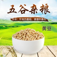 農家自產大豆黃豆現(xiàn)磨豆?jié){五谷雜糧粗糧豆腐原料豆類散裝