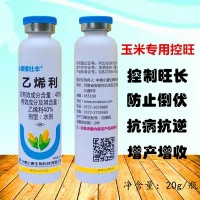 小麥玉米矮壯豐乙烯利玉米控旺縮節矮化植物生長調節劑20g