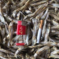 公干魚(yú) 深海小魚(yú)干 咸干 淡干 大量批發(fā)