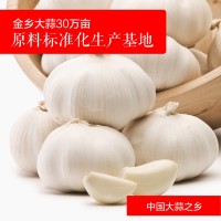 廠家批發(fā)金鄉(xiāng)大蒜新鮮農產品 優(yōu)選紫皮大蒜頭新鮮蔬菜