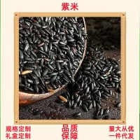 大量批發(fā)紫米紫糯米500g新米散裝產黑糯粥血糯五谷雜糧一件代發(fā)