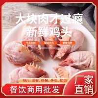 山東華寶廠家直銷冷凍雞肉 生鮮冷凍雞頭 批發動物寵物飼料