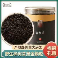 樺樹(shù)茸250g黑金顆粒白樺茸大塊長(zhǎng)白山樺褐孔菌白樺茸代發(fā)廠(chǎng)家直銷(xiāo)