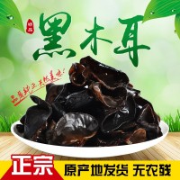 東北長(zhǎng)白山黑山木耳干貨食用菌代發(fā)500g