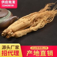 東北白參集安邊條參泡酒煲湯 長(zhǎng)白山8年根全須生曬參干人參禮盒裝