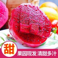 水果批發(fā)金都一號(hào)當(dāng)季紅心火龍果新鮮農(nóng)產(chǎn)品整箱5斤一件代發(fā)