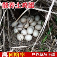 農(nóng)家柴雞蛋散養(yǎng)土雞蛋批發(fā)純土雞蛋笨雞蟲(chóng)草土雞蛋30枚