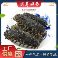 大連A級(jí) 淡干海參500g 廠家批發(fā) 非即食海參 海參干貨 海參禮盒裝