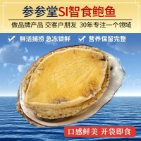 順豐廠家批發(fā)煙臺(tái)鮮活七孔即食鮑魚 海捕新鮮海鮮佛跳墻食材