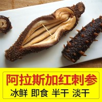 阿拉斯加紅刺參進(jìn)口野生淡干拉鋼鹽半干海參冰鮮熟凍即食美國(guó)紅參