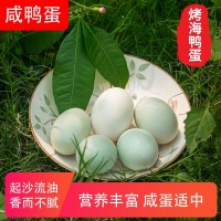 60克多規(guī)格放養(yǎng)烤海鴨蛋 廣西剝開即食鴨蛋 美味營(yíng)養(yǎng)香濃咸鴨蛋