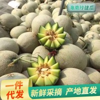 10斤包郵新疆哈密瓜25號新鮮應(yīng)季當季水果整箱州蜜瓜西香甜網(wǎng)紋瓜