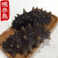 大連海參長海縣深海即食海參遼參500g一件代發(fā)口感好工廠加工批發(fā)