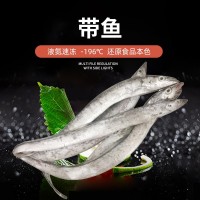 舟山東海雷達(dá)網(wǎng)小眼帶魚 大帶4兩-1斤套袋帶魚 批發(fā)海捕新鮮帶魚