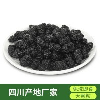 22年新貨桑葚干食用桑果限量四川產(chǎn)地免洗無沙黑桑椹干果子茶散裝