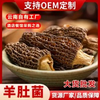 云南產(chǎn)地高原羊肚菌干貨500g批發(fā)散裝羊肚菌煲湯食材大量批發(fā)  1件起批