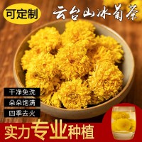 菊花冰菊馳菊花茶懷菊花韻級(jí)河南游念焦作特云臺(tái)山露批發(fā)靈青 2盒起批