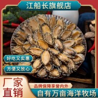 江船長有機(jī)鎖鮮冷凍鮑魚肉去殼去內(nèi)臟65粒裝500g連江海鮮廠家直銷  20盒起批