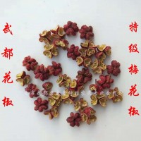 花椒 武都大紅袍紅花椒梅花椒麻椒伏椒 送人禮品套裝一件代發批發