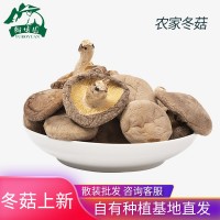 慶元香菇干貨 冬菇厚菇 250g廠家供應(yīng)各類(lèi)大小品質(zhì)餐飲加工批發(fā)