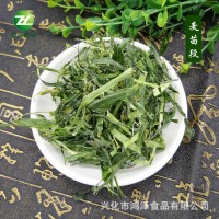 常年生產(chǎn)批發(fā)脫水大麥草 麥苗段 脫水大麥苗 大麥苗段