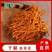 東北干貨金蟲(chóng)草蟲(chóng)草花北蟲(chóng)草蛹蟲(chóng)草中條孢子頭基地供應(yīng)三公斤起批