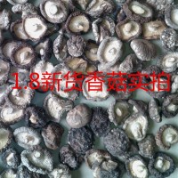 產(chǎn)地直銷(xiāo)剪香菇腳新貨小香菇干貨1.8規(guī)格批發(fā)量大價(jià)優(yōu)