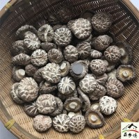 白花菇干貨500g包郵西峽特產農家干香菇新品椴木出口大小花菇