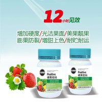 草莓專用 調節(jié)劑 葉面肥 硬果素膨果硬果增產(chǎn)硬果劑 廠家批發(fā)