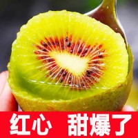 新鮮水果現采現發 四川蒲江紅心獼猴桃50-130克一件代發 整箱批發