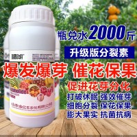 1000毫升多肉植物細(xì)胞分裂素催芽劑促花促生長(zhǎng)保花保果葉面肥正品