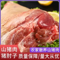 廠家直供阿文特種山豬肉豬肘子現(xiàn)殺冷鏈運(yùn)輸肉質(zhì)鮮嫩山豬肉豬肘子